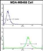 GALT Antibody in Flow Cytometry (Flow)