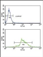HADHA Antibody in Flow Cytometry (Flow)