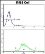 LUC7L Antibody in Flow Cytometry (Flow)