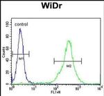 FAM3B Antibody in Flow Cytometry (Flow)