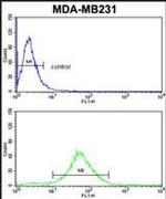 FMO3 Antibody in Flow Cytometry (Flow)