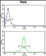 GALE Antibody in Flow Cytometry (Flow)