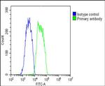 COMP Antibody in Flow Cytometry (Flow)