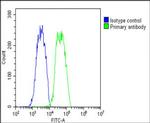 COMP Antibody in Flow Cytometry (Flow)