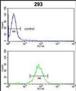 GNPAT Antibody in Flow Cytometry (Flow)