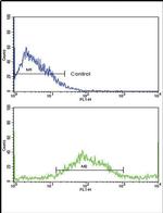 SAR1A Antibody in Flow Cytometry (Flow)
