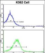 UNC5C Antibody in Flow Cytometry (Flow)