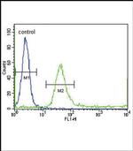 IGFBP4 Antibody in Flow Cytometry (Flow)