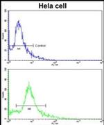 PDRG1 Antibody in Flow Cytometry (Flow)
