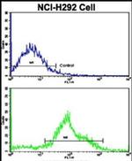 FTO Antibody in Flow Cytometry (Flow)