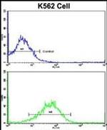 SFRP5 Antibody in Flow Cytometry (Flow)