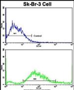 HOMER3 Antibody in Flow Cytometry (Flow)