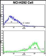 IFNGR2 Antibody in Flow Cytometry (Flow)
