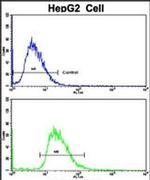 CYP2J2 Antibody in Flow Cytometry (Flow)