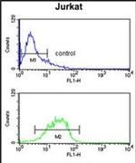 ALS Antibody in Flow Cytometry (Flow)