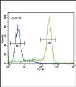 MPST Antibody in Flow Cytometry (Flow)