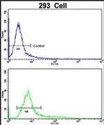 PLEKHO1 Antibody in Flow Cytometry (Flow)
