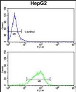 GPD1 Antibody in Flow Cytometry (Flow)