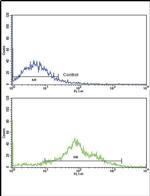 PLA2G4A Antibody in Flow Cytometry (Flow)