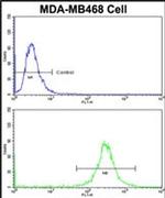VPS53 Antibody in Flow Cytometry (Flow)