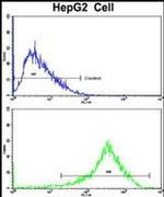 PON3 Antibody in Flow Cytometry (Flow)