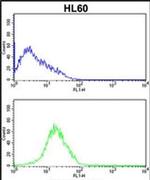 SERPINB7 Antibody in Flow Cytometry (Flow)