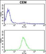 MPZ Antibody in Flow Cytometry (Flow)