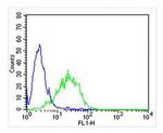 NKG2A Antibody in Flow Cytometry (Flow)