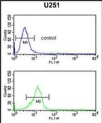 OLIG3 Antibody in Flow Cytometry (Flow)