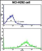 MLX Antibody in Flow Cytometry (Flow)