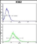 Folliculin Antibody in Flow Cytometry (Flow)