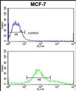 ZYG11A Antibody in Flow Cytometry (Flow)