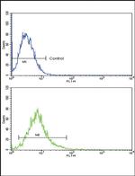 ATF6 Antibody in Flow Cytometry (Flow)