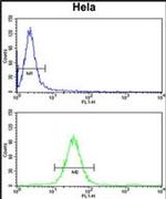 MOSC2 Antibody in Flow Cytometry (Flow)