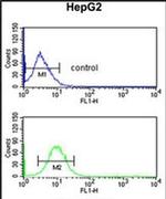 PECI Antibody in Flow Cytometry (Flow)