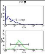 HSPA6 Antibody in Flow Cytometry (Flow)