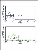 B1 Bradykinin Receptor Antibody in Flow Cytometry (Flow)