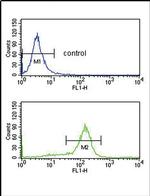 UAP56 Antibody in Flow Cytometry (Flow)