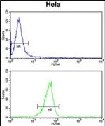 MPV17 Antibody in Flow Cytometry (Flow)