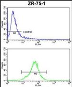 COQ3 Antibody in Flow Cytometry (Flow)