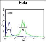Importin 11 Antibody in Flow Cytometry (Flow)