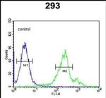Cdc42EP3 Antibody in Flow Cytometry (Flow)