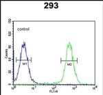 CSGALNACT2 Antibody in Flow Cytometry (Flow)