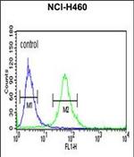 ITGBL1 Antibody in Flow Cytometry (Flow)