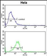CYP7B1 Antibody in Flow Cytometry (Flow)