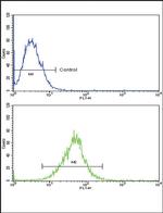 IL18RAP Antibody in Flow Cytometry (Flow)