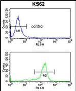 WDSUB1 Antibody in Flow Cytometry (Flow)