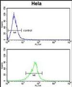 COTL1 Antibody in Flow Cytometry (Flow)