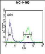 PISD Antibody in Flow Cytometry (Flow)