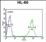 RPS8 Antibody in Flow Cytometry (Flow)